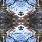 Baumhaus