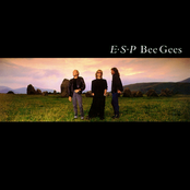 Giving Up The Ghost by Bee Gees