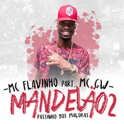 Mandelão 2: Passinho dos Malokas - Single