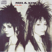 Respectable by Mel & Kim