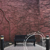 Always Forever By Cults