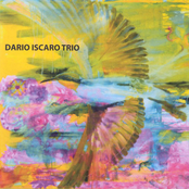 dario iscaro trio