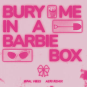Bury Me in a Barbie Box