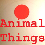 animal things