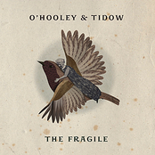 Teardrop by O'hooley & Tidow