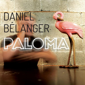 Daniel Belanger: Paloma