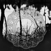 demo 'repetition I Happy Lobster'