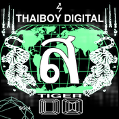 Thaiboy Digital: Tiger