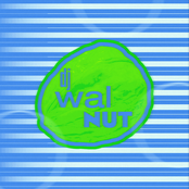 DJ Walnut