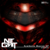 Synthetic Heaven by Nit Grit