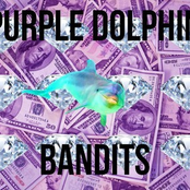 Purple Dolphin Bandits