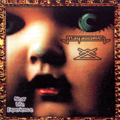 Near Life Experience