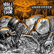 Una Bomber & Nada a Nuestro Favor Split