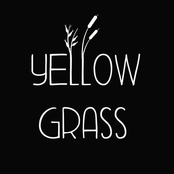 yellow grass