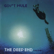 Gov't Mule: The Deep End: Volume 1