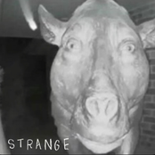 Strange - EP