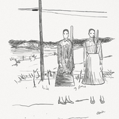 a collection of wasteful love songs