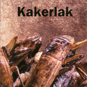 Reproductive Activity Rhythms