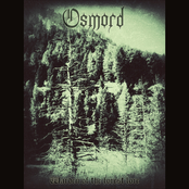 Warden of the forest lore