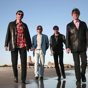 the fleshtones