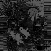 life under distortion