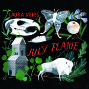 I Can See Your Tracks by Laura Veirs