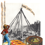 Pickle Park Interference