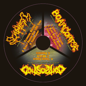 Boarcorpse/Composted/Scaphism [split]