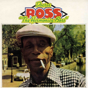 Harmonica Boogie by Doctor Ross