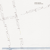 no one notices the fly