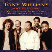 The Night You Were Born by Tony Williams