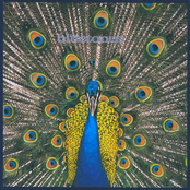 The Bluetones: Expecting To Fly