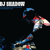 Changeling by Dj Shadow