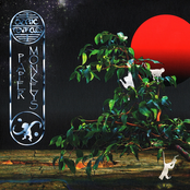 Lost In The Sky by Ozric Tentacles