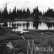 Manufacturing Contempt