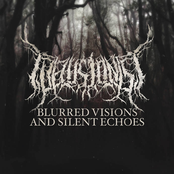 Blurred Visions and Silent Echoes