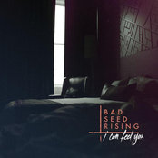 Bad Seed Rising: I Can Feel You