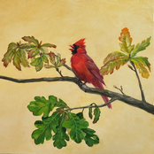 Folkknot: All Good Things