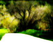 Head Poisoning (2009)