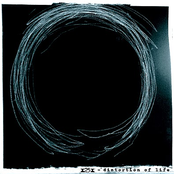 distortion of life