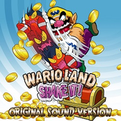 Wario Land: Shake It!