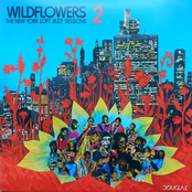 Wildflowers 2: The New York Loft Jazz Sessions