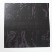 Density and Assimilation