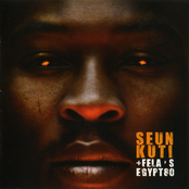 Seun Kuti: Many Things