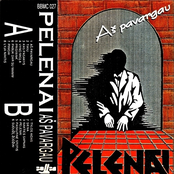 Pelenai - Prisimink