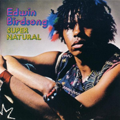 Any Color by Edwin Birdsong