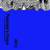 The cell with the transparent walls