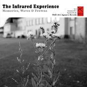 Memories, Waves & Frowns