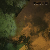 Parsimonia by Rameses Iii