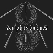 Amphisbaena